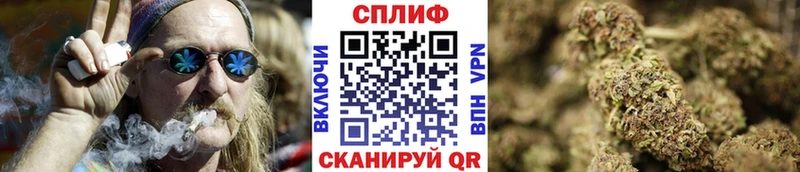 Каннабис MAZAR  купить   Нестеров 